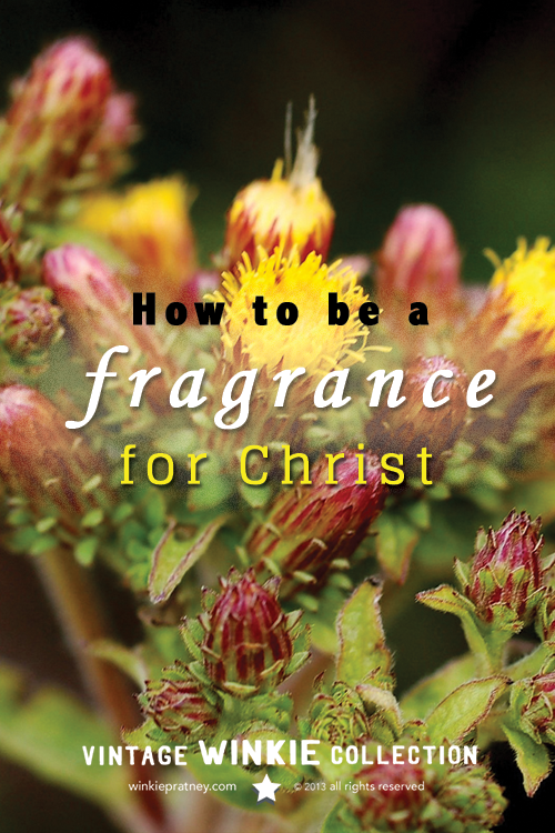 How To Be A Fragrance For Christ Winkie Pratney 3926